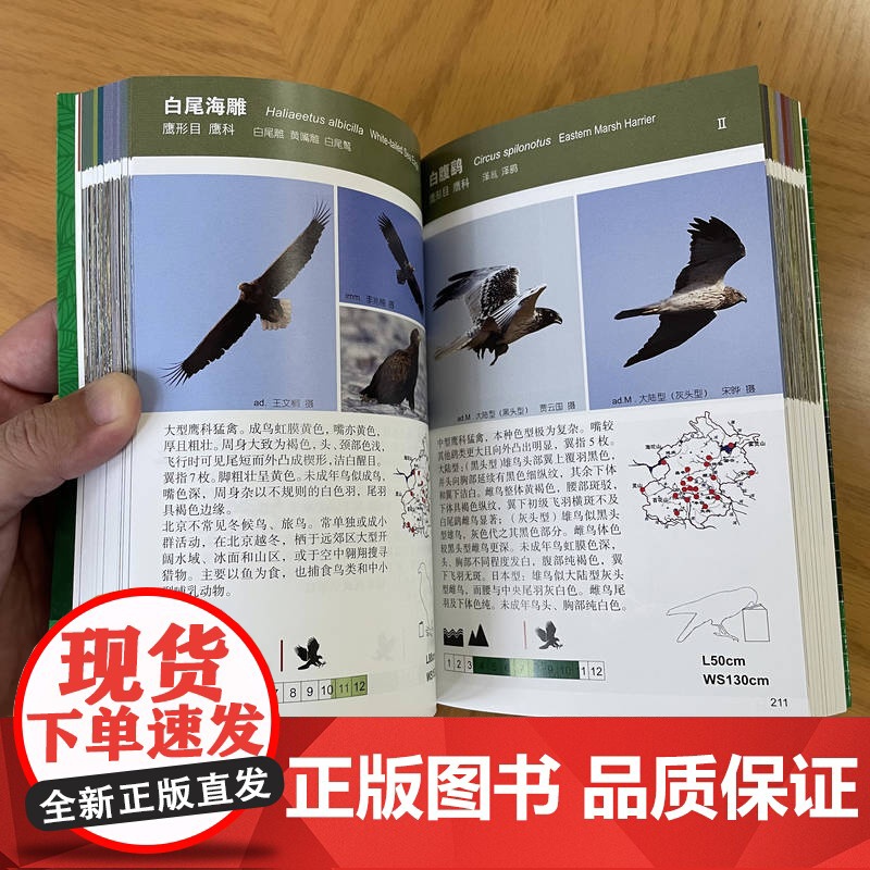 正版 北京常见野鸟图鉴 李兆楠 王瑞卿 李强 科普 北京 观鸟 9787111749417 机械工业出版社高清大图