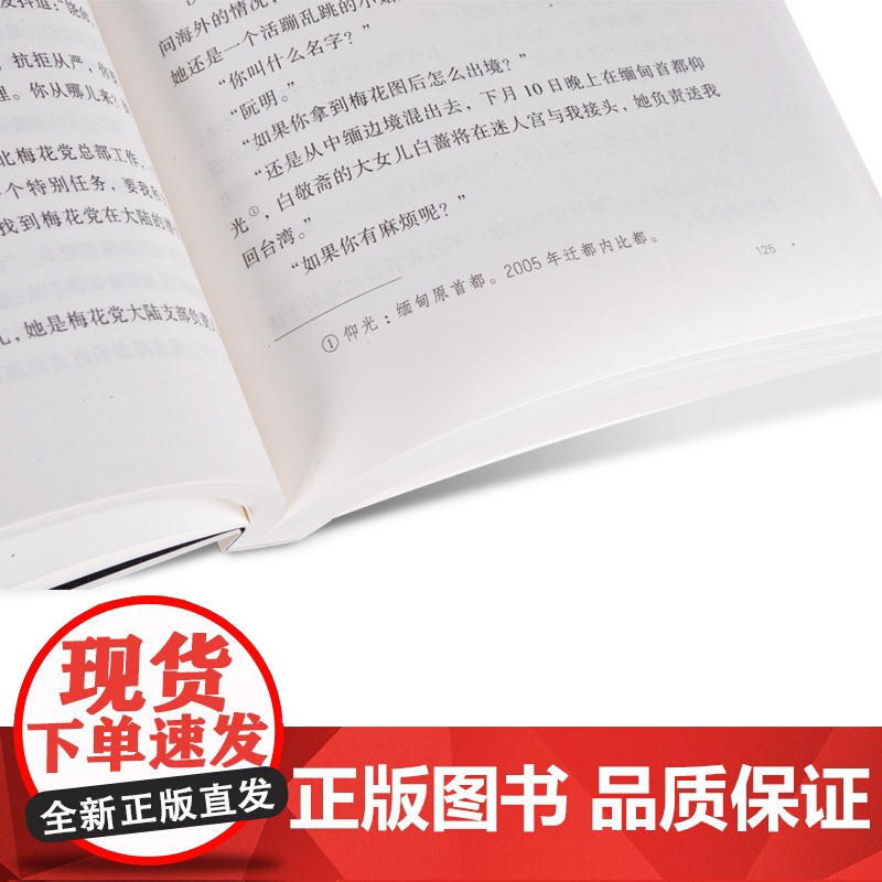 现代文学系列《一只绣花鞋》高清大图