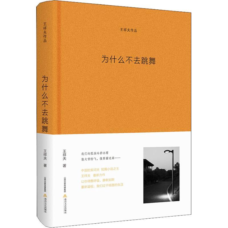 为什么不去跳舞 王祥夫 著 文学 文轩网