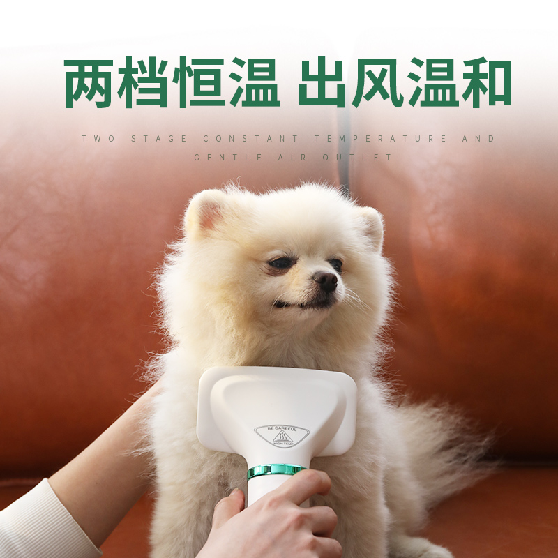 宠物吹风机拉毛一体梳狗狗猫咪洗澡吹干小型犬专用吹水机高清大图