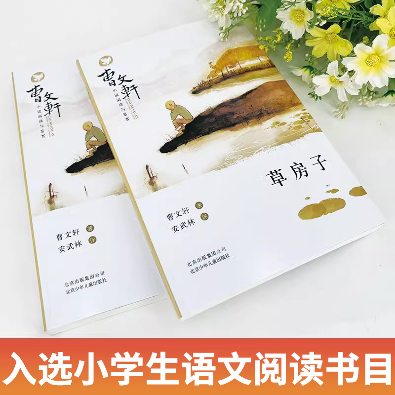 [全5册]青铜葵花+草房子+小英雄+细菌+宝葫芦 [正版]草房子曹文轩原著完整版 获奖文学作品书籍 四年级下册至五六阅读