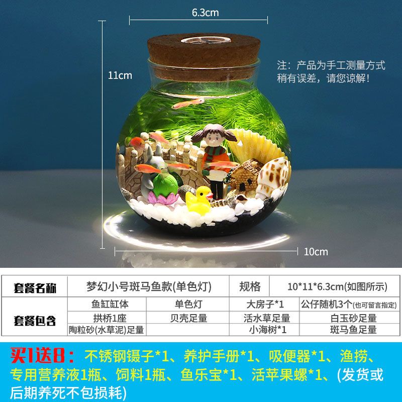 生态瓶微景观水族箱造景斗鱼缸办公桌面客厅玻璃鱼缸生态球微景观 小鱼款+单色灯 梦幻圆球小号瓶