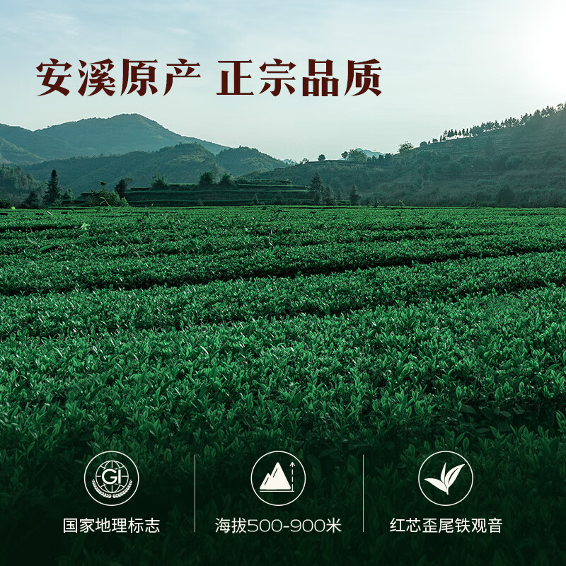 八马茶业AA2085赛珍珠2000浓香型铁观音礼盒装250克/盒(单位:盒)高清大图