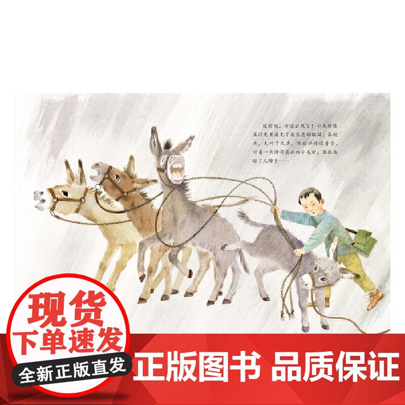 金羽毛·田埂上的童年 我和小灰的田野高清大图
