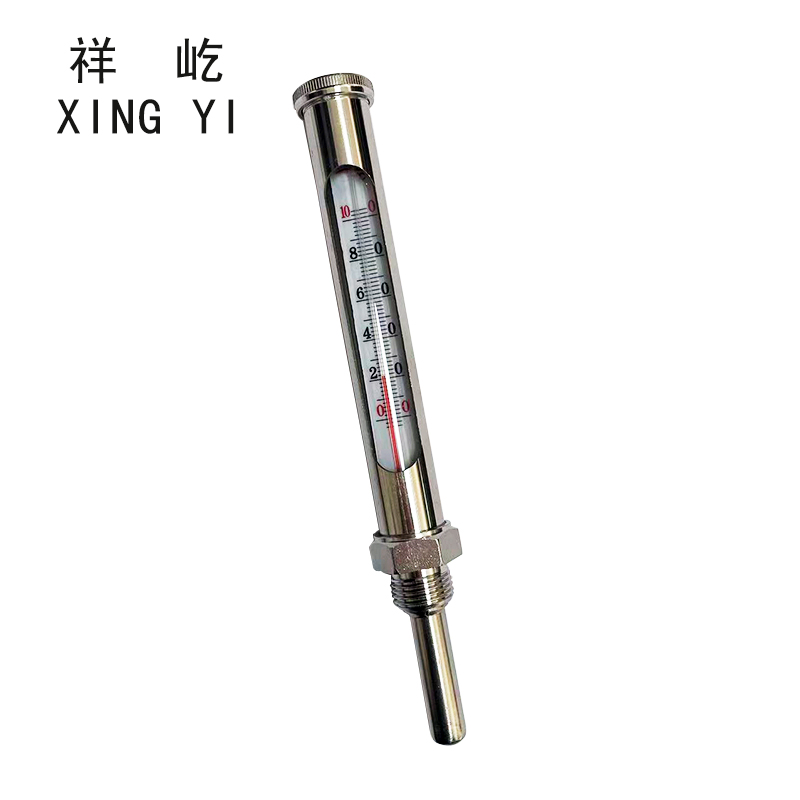 祥屹 金属套温度计 100度 个