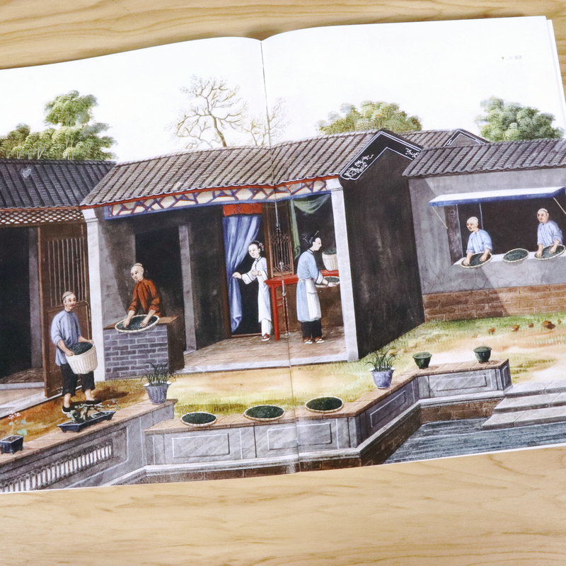 [醉染正版]正版茶的味道 //中国茶饮食文化茶类品鉴书籍茶经茶道茗茶茶泉茶器茶术文化养生书籍中国茶轻图典寻茶记茶路无高清大图