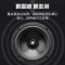 惠度(HuiDu)专业超重低音炮单双18英寸DJ酒吧低音炮大型舞台演出工程大功率体育馆剧院婚庆演出超低音箱单12
