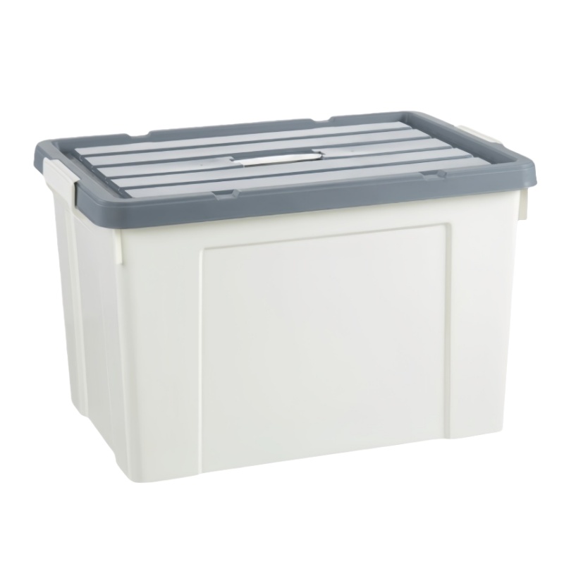 铁洋 整理收纳箱 20L(41.7cm*29.5cm*16.8cm) 个