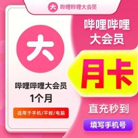 【直充】哔哩哔哩大会员月卡