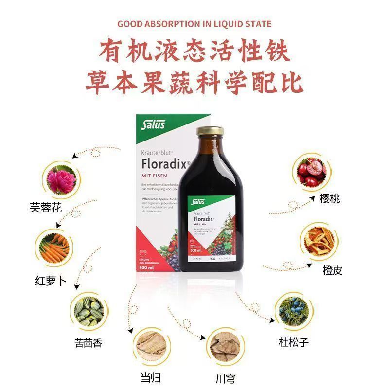 德国版莎露斯Floradix红铁元片剂84粒装高清大图