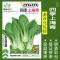 [补贴10%]蔬菜种子四季播种阳台农家盆栽香菜菠菜生菜韭菜小葱草莓籽孑大全