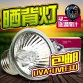 爬虫箱乌龟缸UVB3.0灯加温灯太阳灯龟箱水龟加热灯晒背灯25W-75W_3_501 默认尺寸 25W