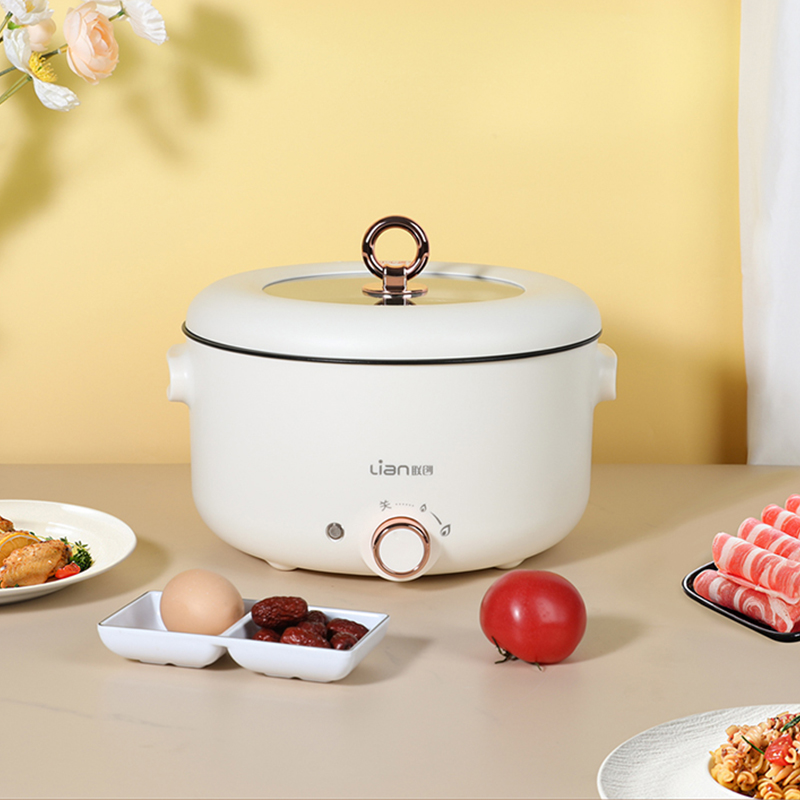 联创 电煮锅 火锅专用锅 家用多功能涮肉锅 电热锅 电炖锅 多用途锅电火锅 DF-BL8058M