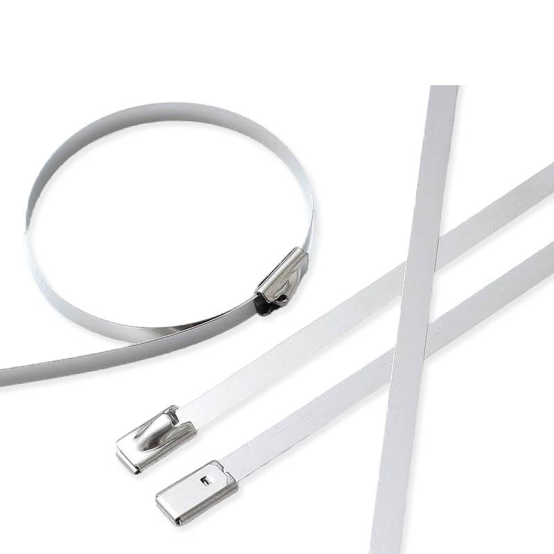 万梓 不锈钢扎带 4.6*650mm 根高清大图