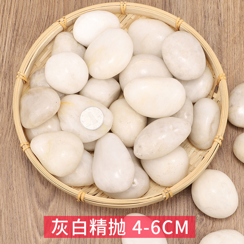 鹅卵石雨花石原石鱼缸花盆石小石子庭院装饰五彩石头铺地水培 精抛5斤灰白高光4-6cm 均码