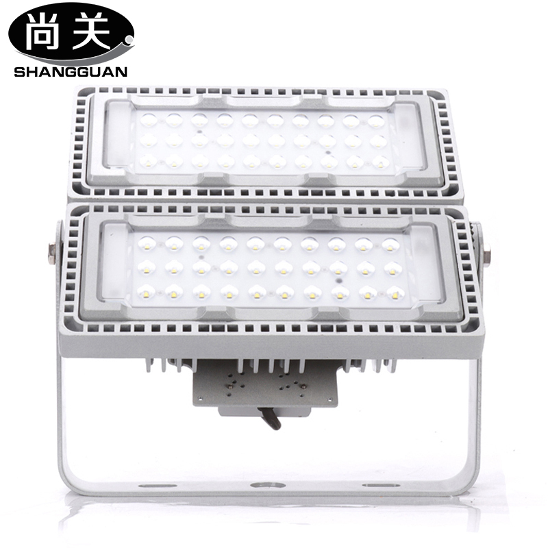 尚关(SHANGGUAN)( 投光灯)SQ-Z18 AC220V LED 100W泛光灯