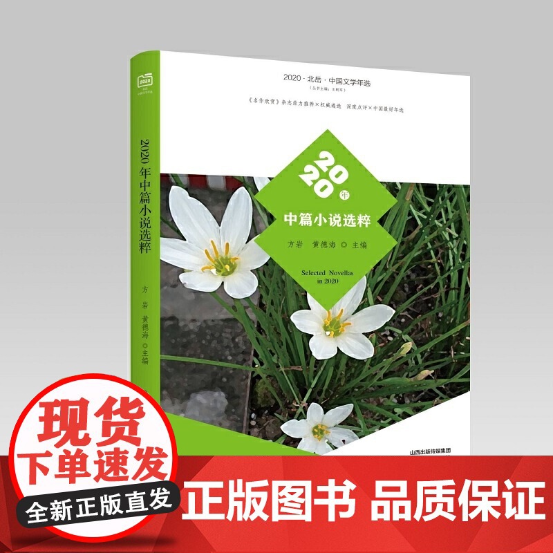 2020年中篇小说选粹高清大图