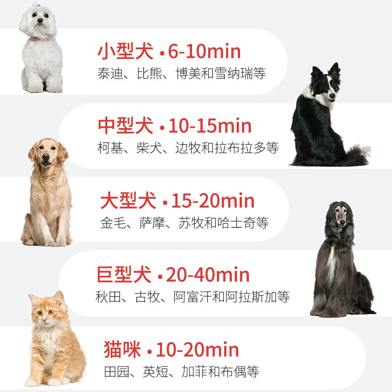 宠物吹风机狗狗吹水机大型犬吹毛烘干大功率洗澡专用高清大图
