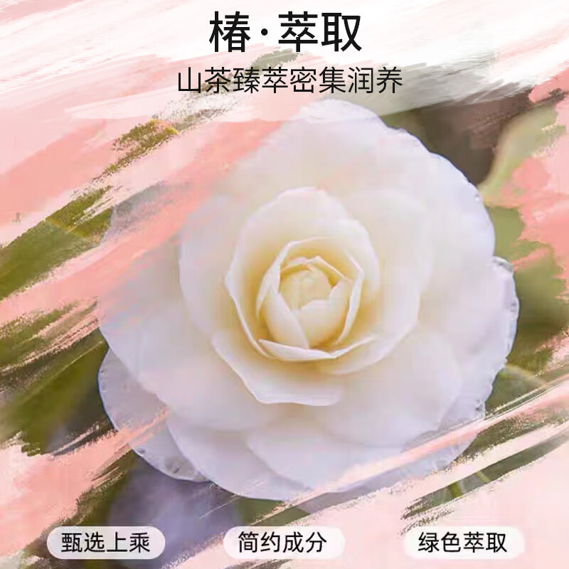 SYOSS丝蕴洗发水山茶油滋养修护洗发露修护受损抚平毛躁无硅油洗头膏420ml高清大图