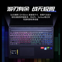 梵想(FANXIANG)S630系列500GB SSD固态硬盘 M.2接口NVMe协议PCIe 4.0 x4 2230