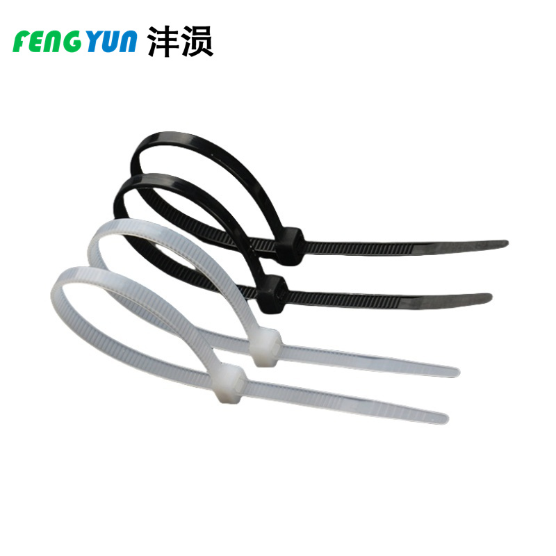 沣涢 尼龙扎带 10*500mm 根高清大图