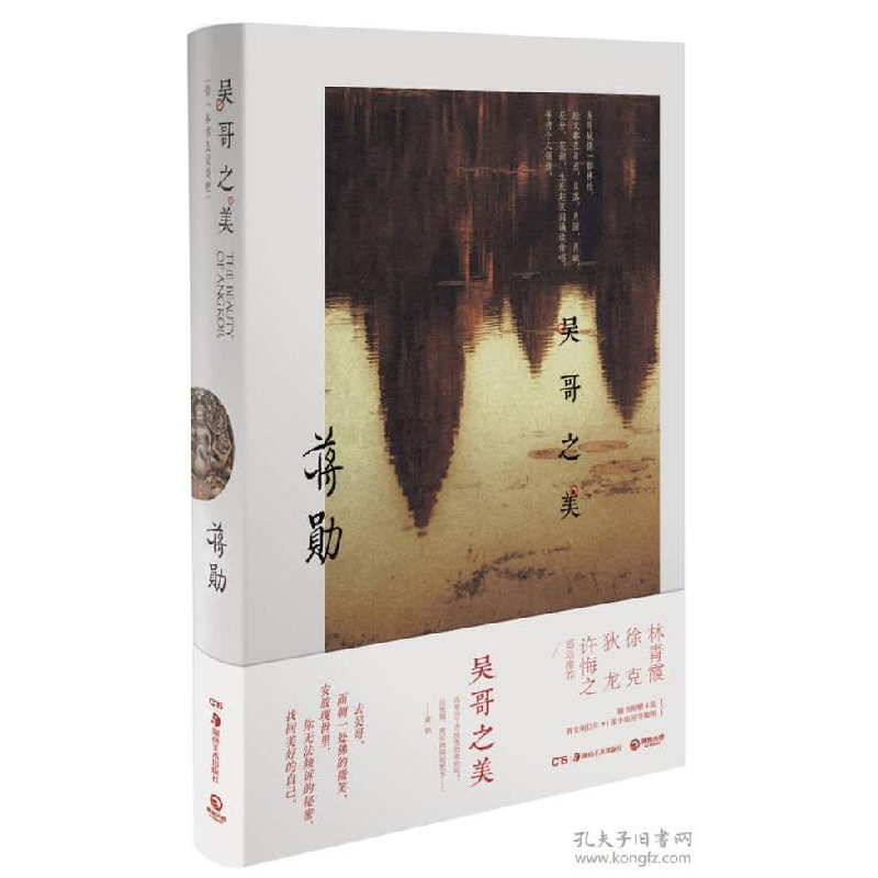 正版新书]吴哥之美蒋勋9787535668776高清大图