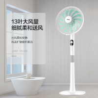TCL电风扇落地扇家用台式定时大风量摇头式办公室13叶 TFS35-19AD