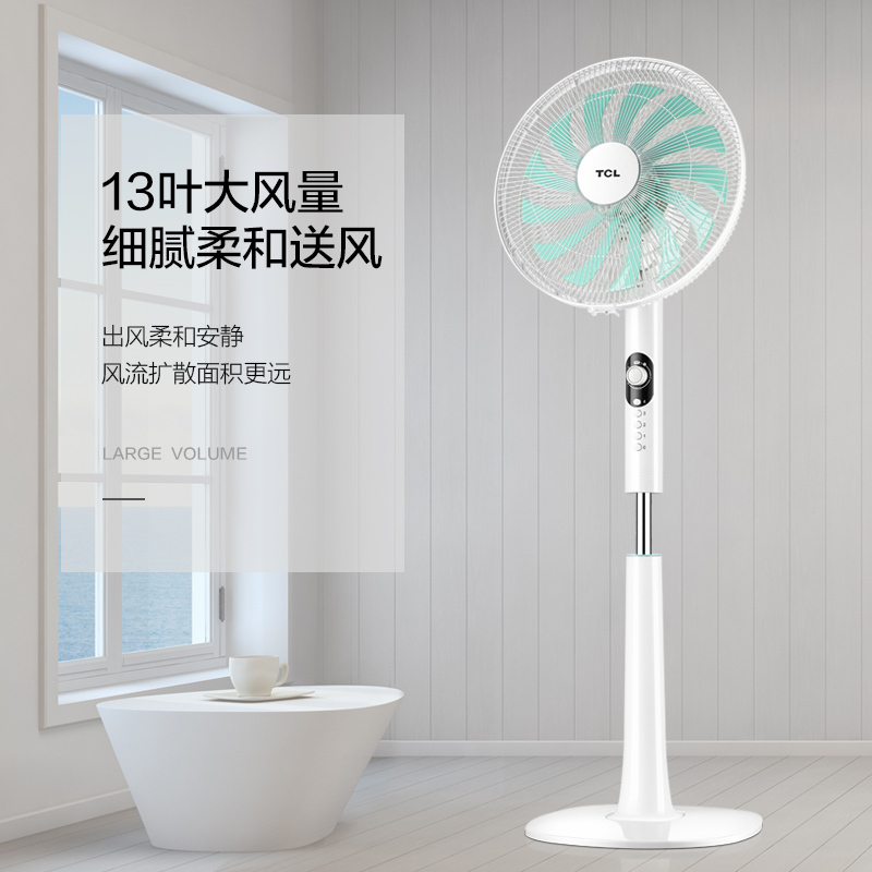 TCL电风扇落地扇家用台式定时大风量摇头式办公室13叶 TFS35-19AD