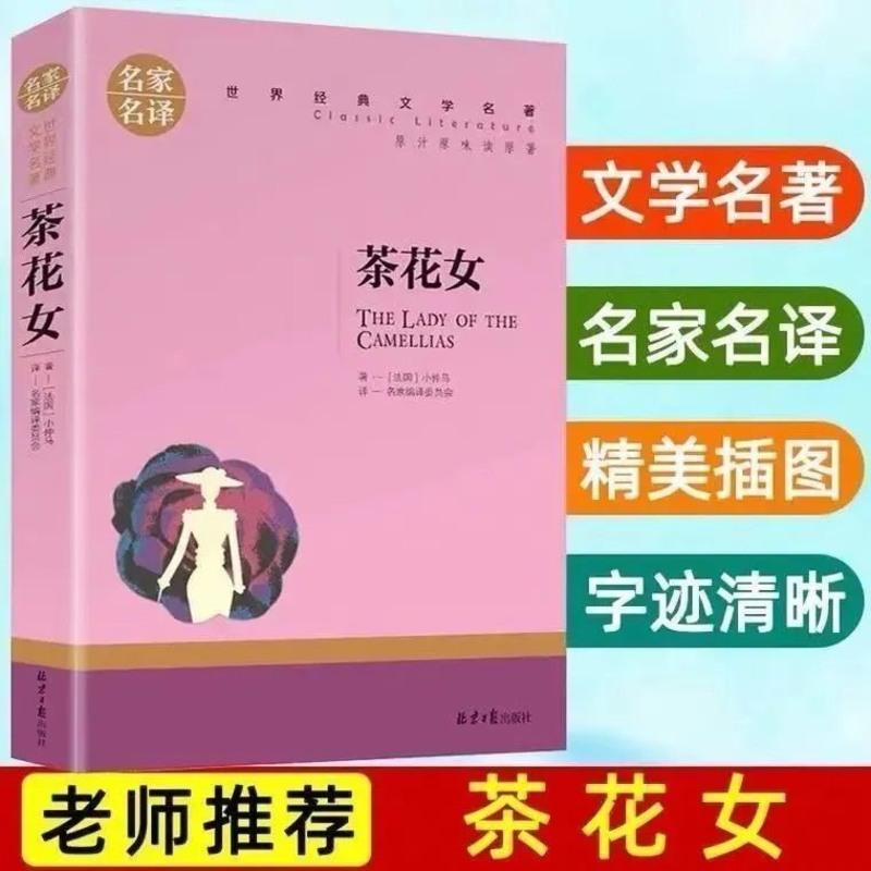茶花女 名家名译经典世界文学名著文学类书籍世界名著 学校推荐书 茶花女[名家名译版]