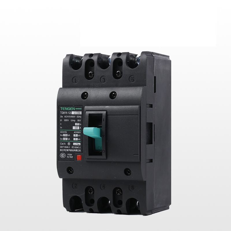 天正电气 TGM1N-125L 25KA 热磁式 100A 3P手动固定式380V 330021700037塑壳断路器