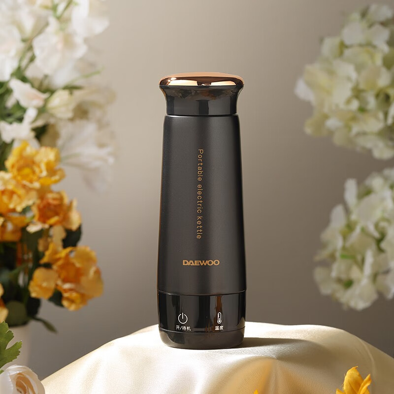 大宇daewood6电热水杯家用旅行便携式小型热水壶养生电热水杯