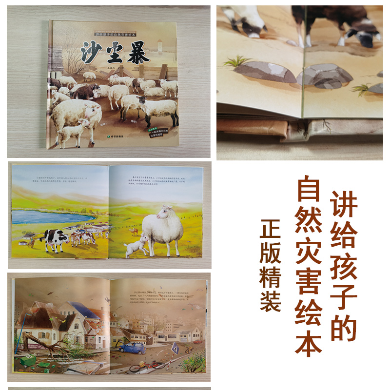 醉染图书讲给孩子的自然灾害绘本 沙尘暴9787537984348高清大图