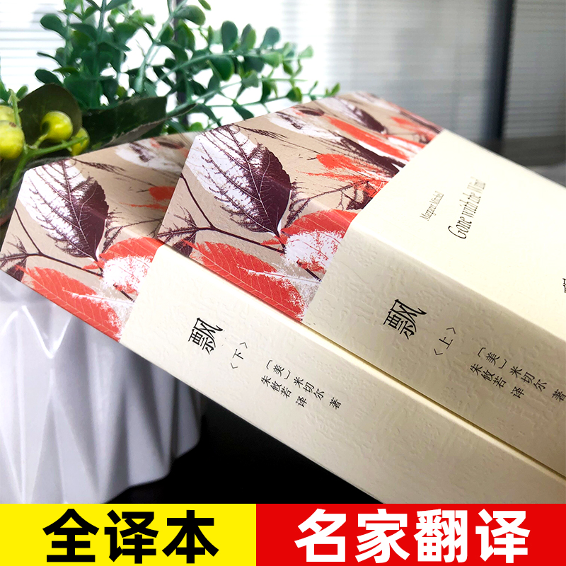 [全译本无删减]飘书上下册原版原著正版米切尔著经典世界名著外国文学长篇小说乱世佳人Gone with the wind中高清大图