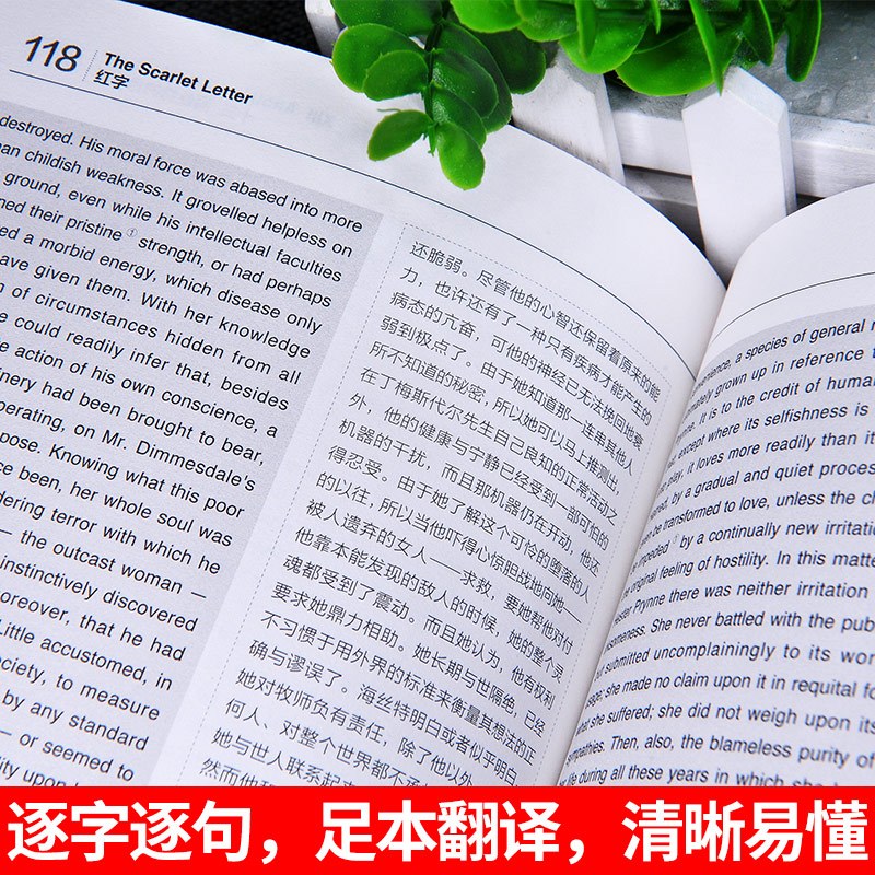 [正版] 世界经典名译典藏书系:红字书原版书 英汉对照 霍桑著 词汇注释 英文原著 名著书籍中英对照 中英双语