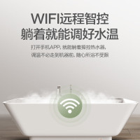 万和 二级能效 12升平衡式燃气热水器天然气恒温 可装浴室 主动防CO中毒 ECO节能JSG24-WE3W12