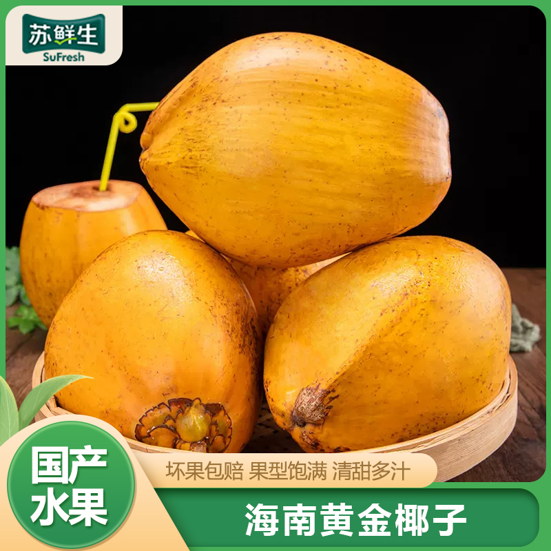 【苏鲜生】海南黄金椰子 热带老椰子 8个装 整箱 热带特产 清甜多汁