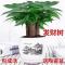 发财树小盆栽绿植室内客厅吸甲醛小盆景招财树办公室桌面植物花卉 单颗发财树-[原装盆-不包活]