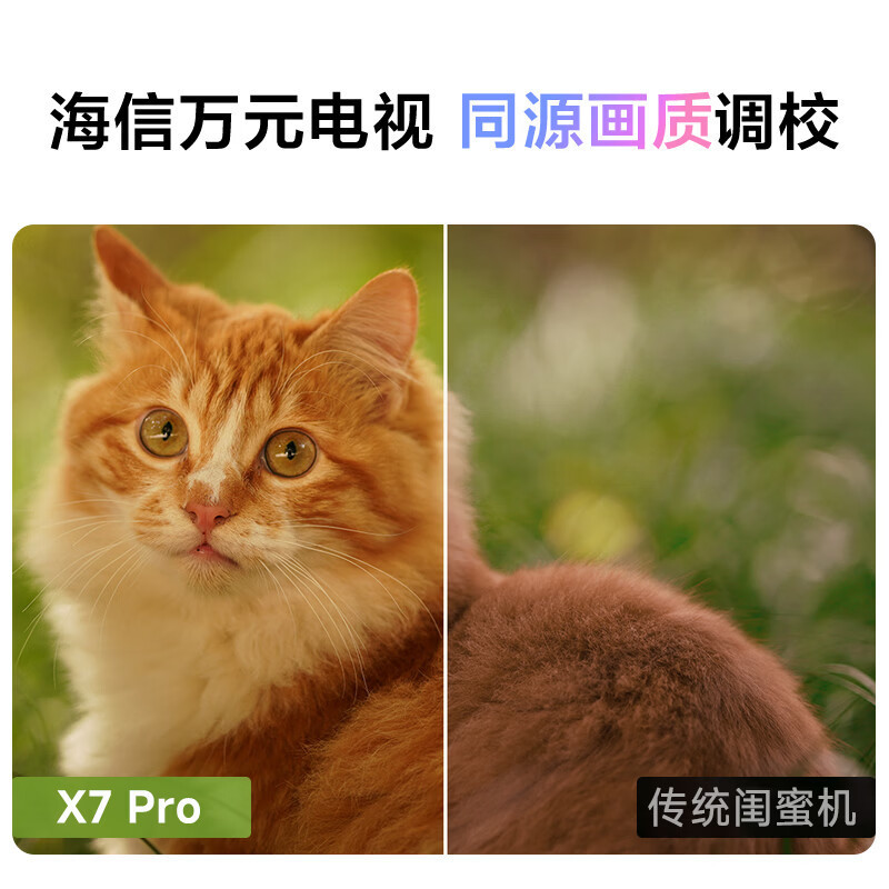 海信大白X7 Pro 极光紫16H长续航 27英寸8核8+256GB大平板 移动电视 亲子观影高清大图