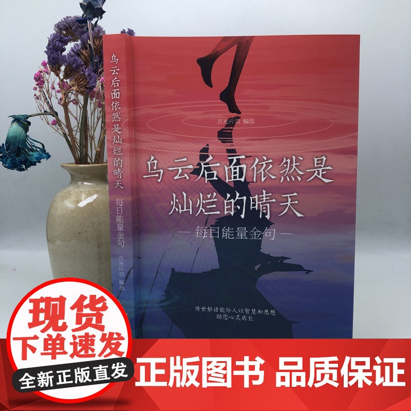 [抖音同款]减压+乌云后面依然是灿烂的晴天正版2册 每日能量金句每日箴言一句话改变人生启迪心灵感悟人生青春正能量励志经典高清大图