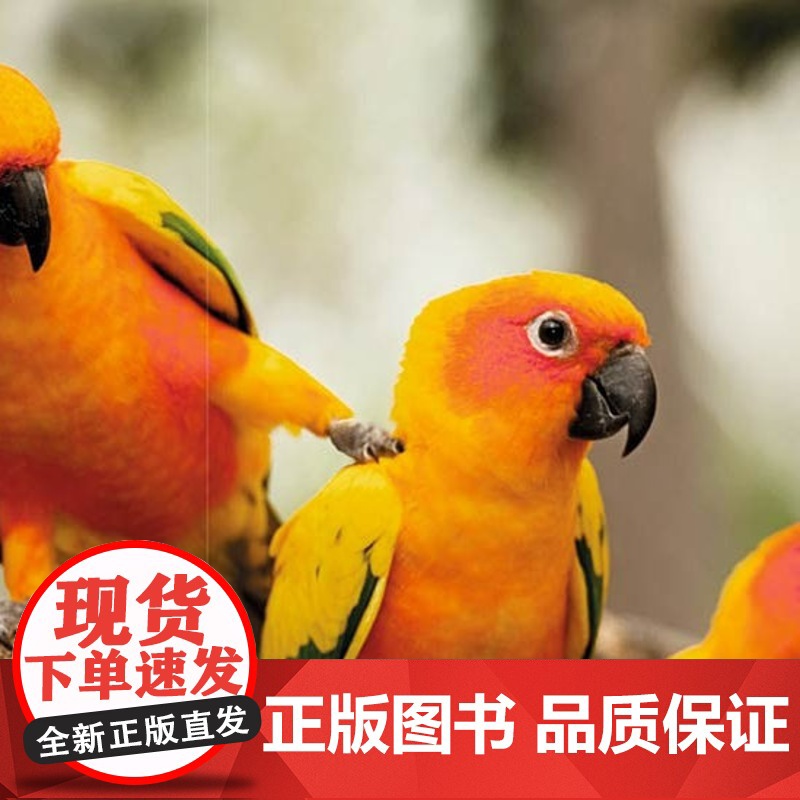 [正版] DK儿童野生动物行为小百科 英国DK公司 中国大百科出版社 9787500095590 科普百科 少儿 正高清大图