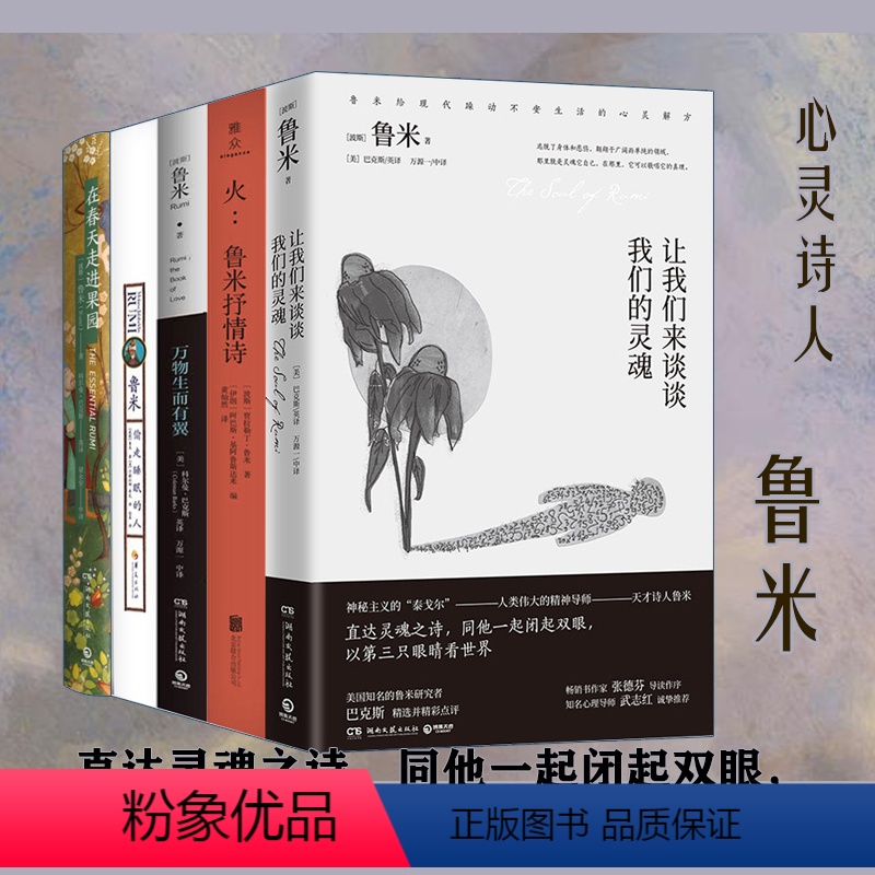 【正版】鲁米灵性诗集5册偷走睡眠的人+在春天走进果园+万物生而有翼+火鲁米抒情诗+让我们来谈谈我们的灵魂苏菲派神秘主义