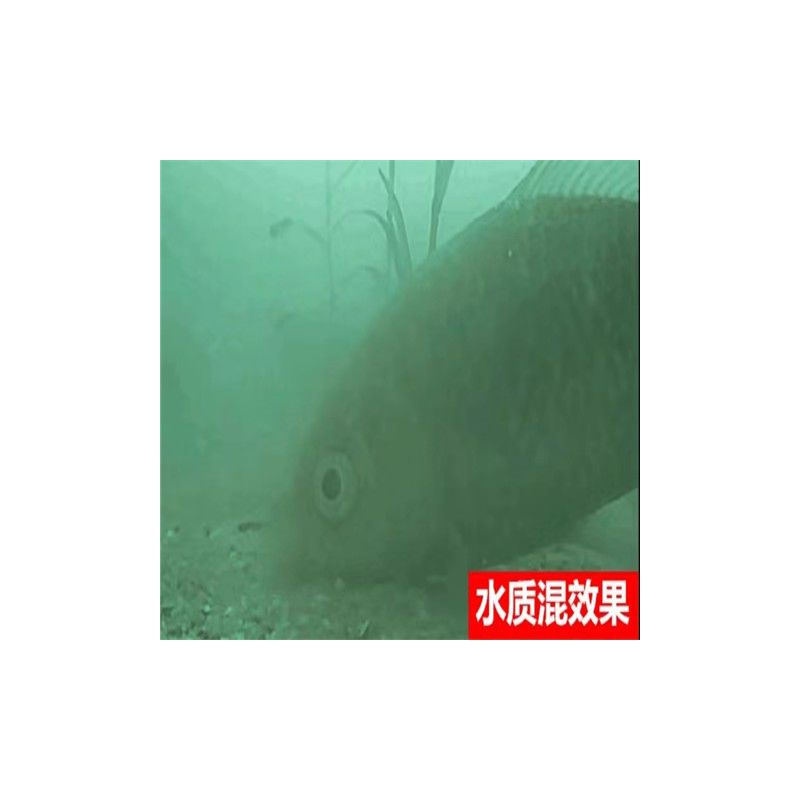 苹果OPPO手机专用款|四代500万像素探鱼器连接手机防水探鱼器D1