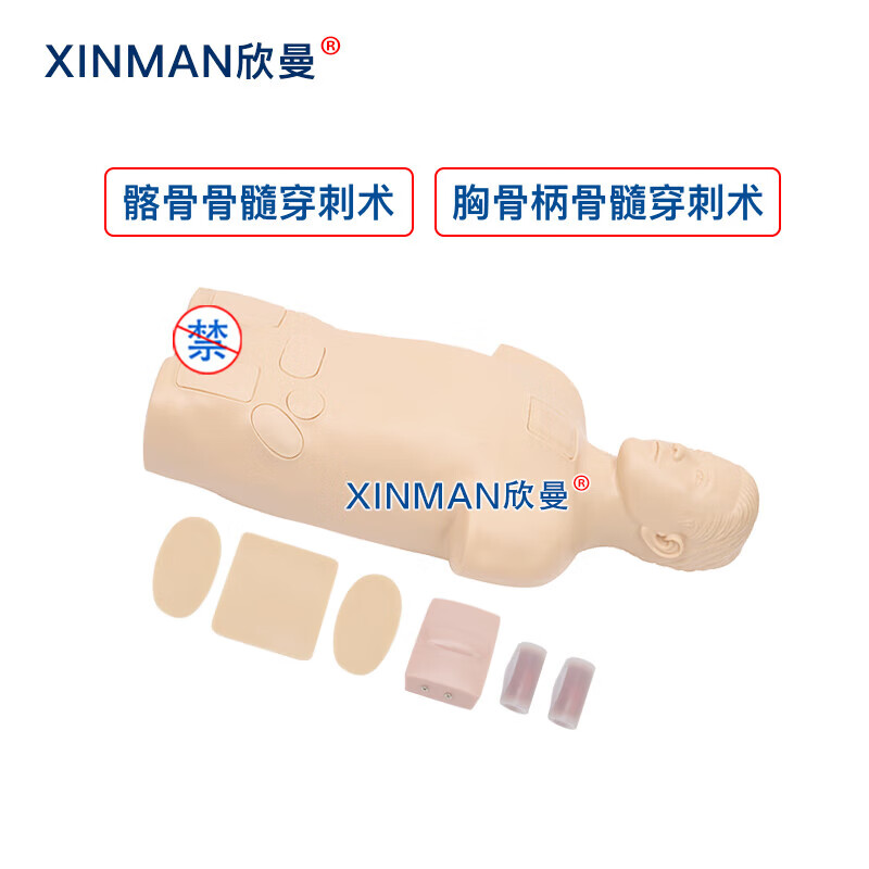 欣曼科教 骨髓穿刺模拟人 骨髓穿刺训练模型 医学教学人体模型XM-1011高清大图