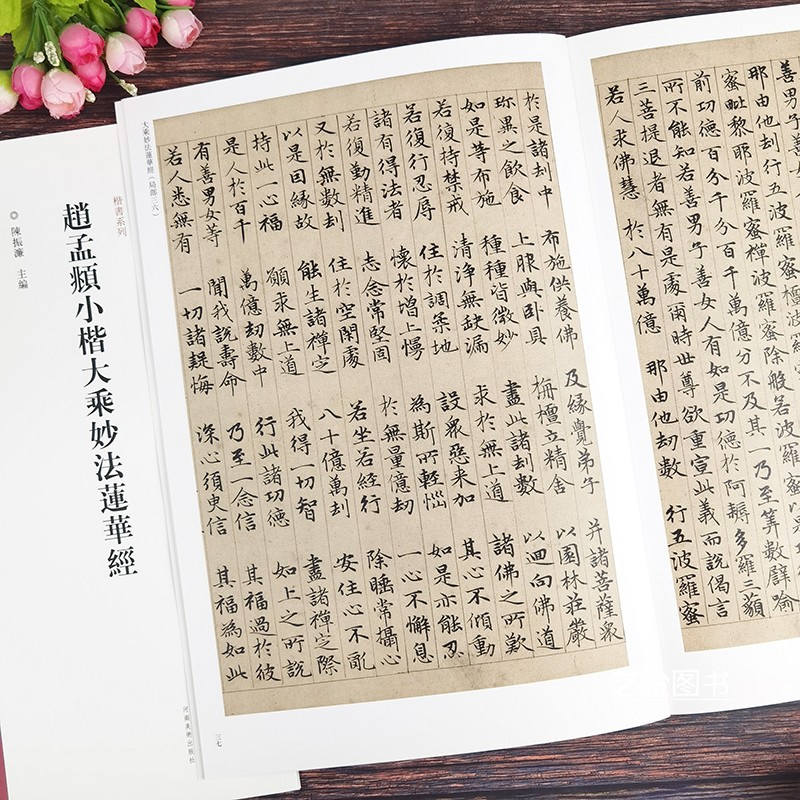 [正版]赵孟頫小楷大乘妙法莲华经 赵孟俯字帖 中国历代经典碑帖 楷书系列 书法字帖碑帖 楷书书法赏析书籍 河南美术出版高清大图