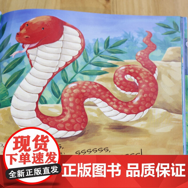 童立方·小手触摸系列·幼儿社交互动启蒙图画书:丛林动物,你好!扫码听英文音频高清大图