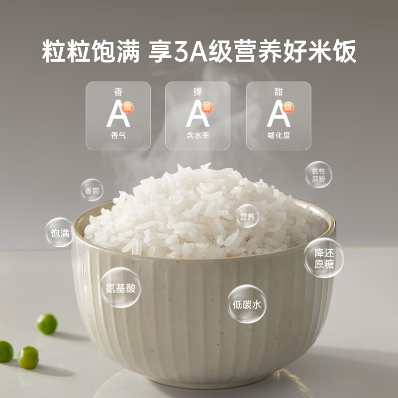 小熊(Bear) DFB-J40Q5-P01 电饭煲 (计价单位:台) 灰色高清大图