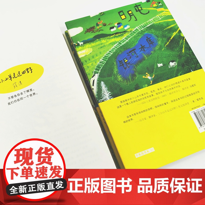 小山羊走过田野高清大图