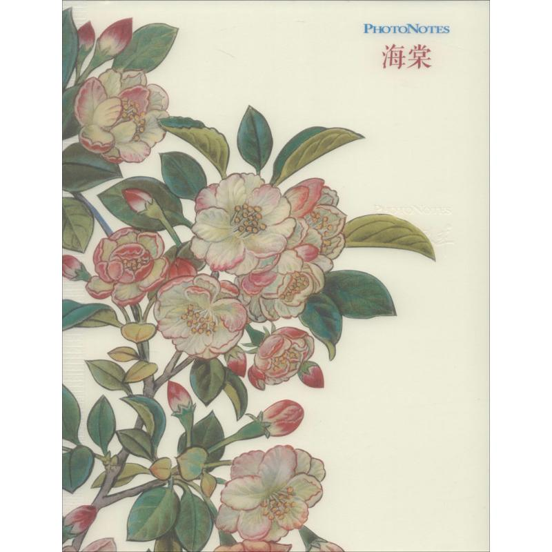 醉染图书祝大年经典笔记系列9787546146546高清大图