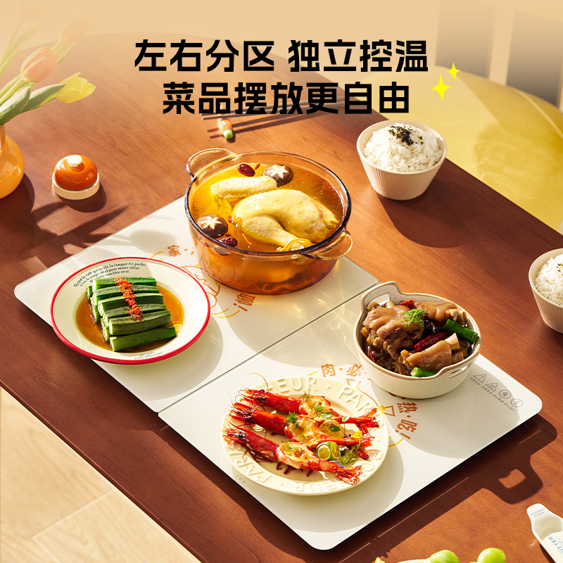 大宇DAEWOO 暖菜板WB09白色高清大图