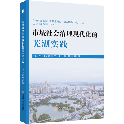 市域社会治理现代化的芜湖实践